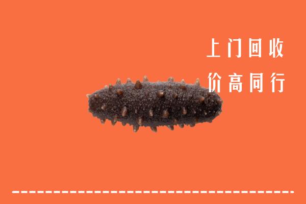 高价求购：集安市回收海参