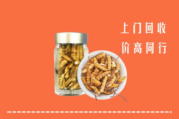 集安市回收冬虫夏草