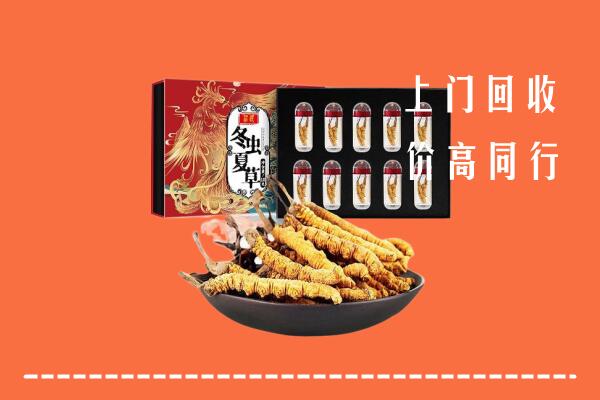 集安市回收虫草